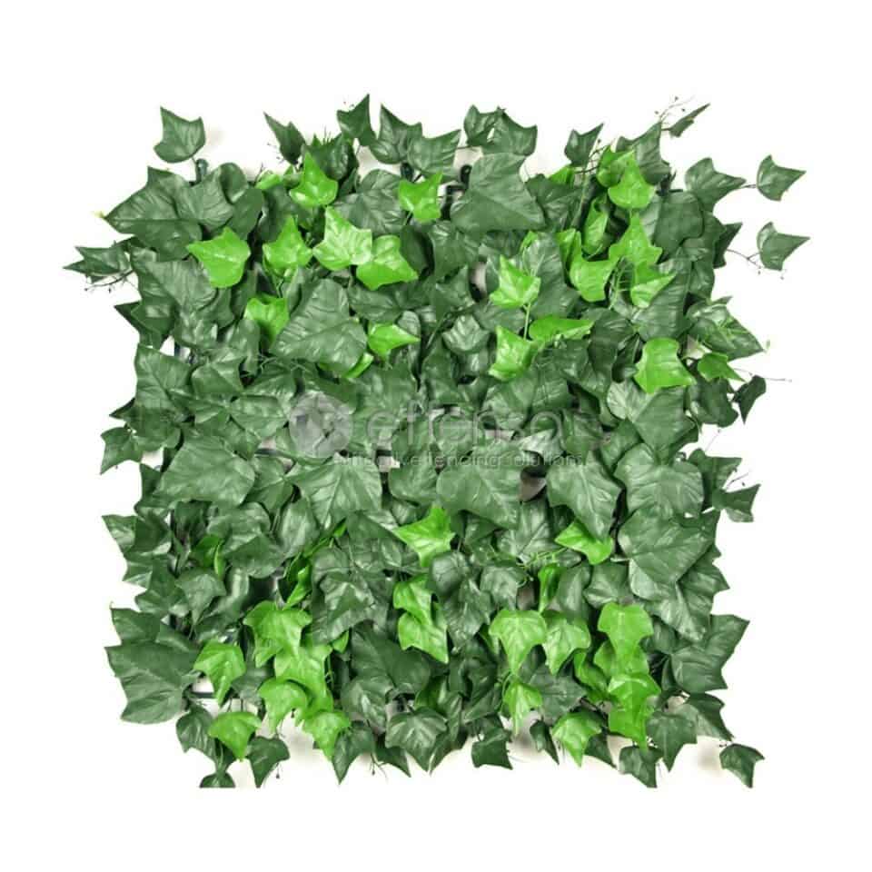 Kunstklimop Fensoleaf Tile HEDERA 50x50cm