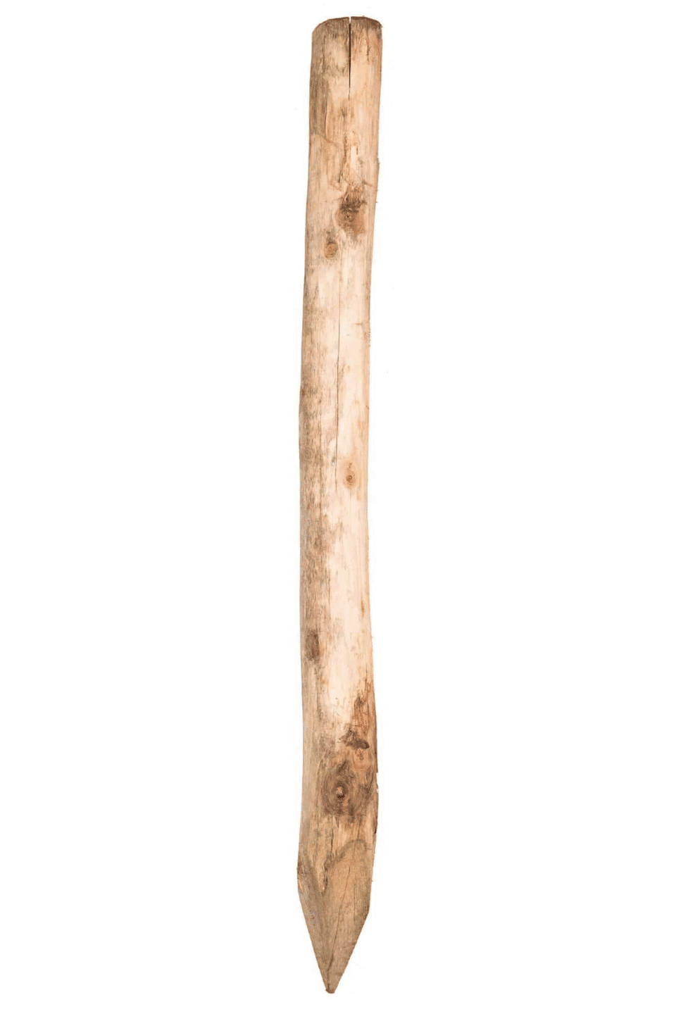 Acacia paal Ø12-14 x Lengte 200cm